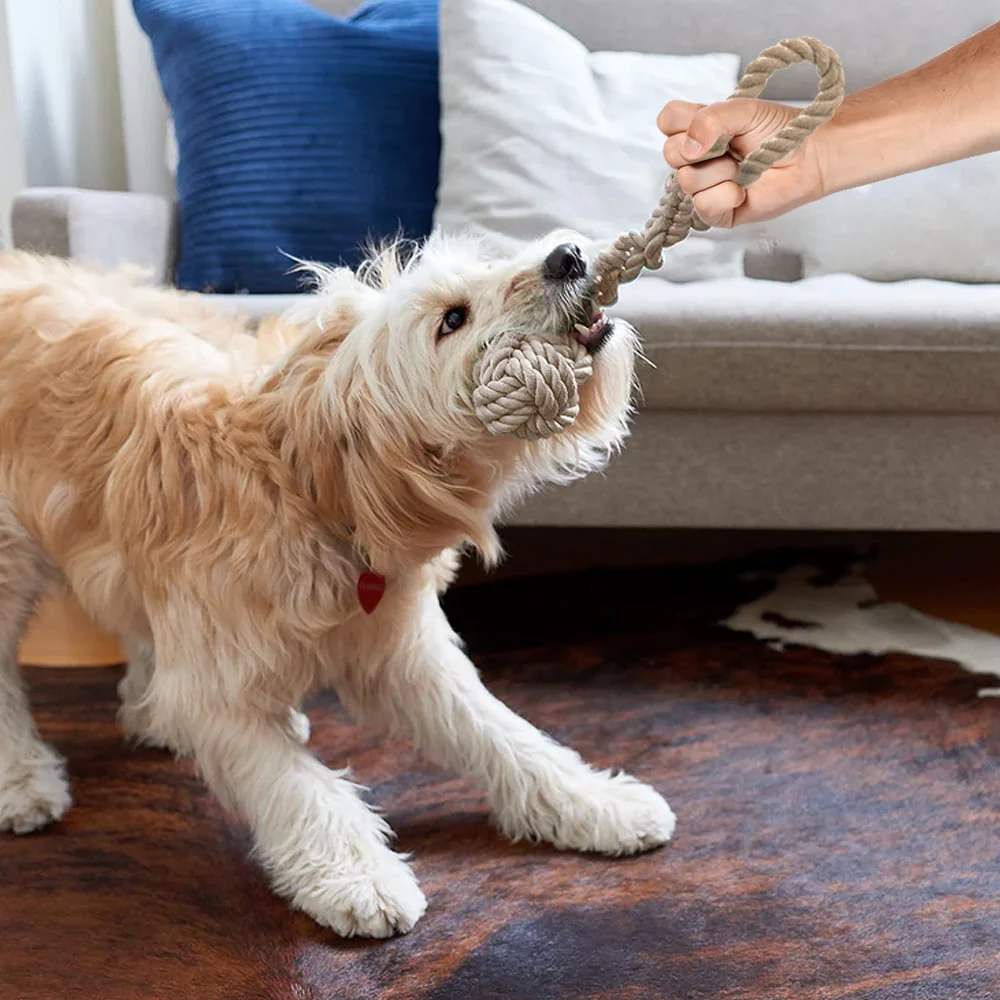 Eco Lifestyle - Dog Rope Toy - Image 4