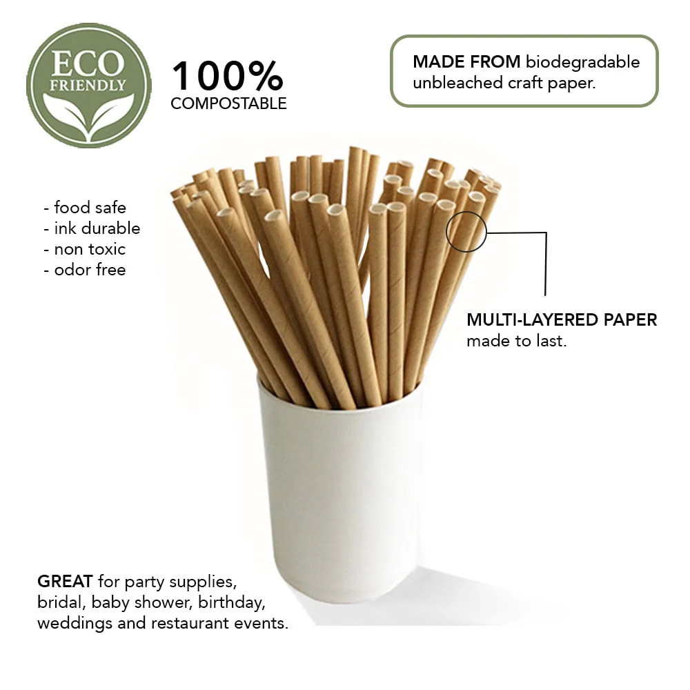 Eco Lifestyle - Kraft Paper Straws 100s - Image 5