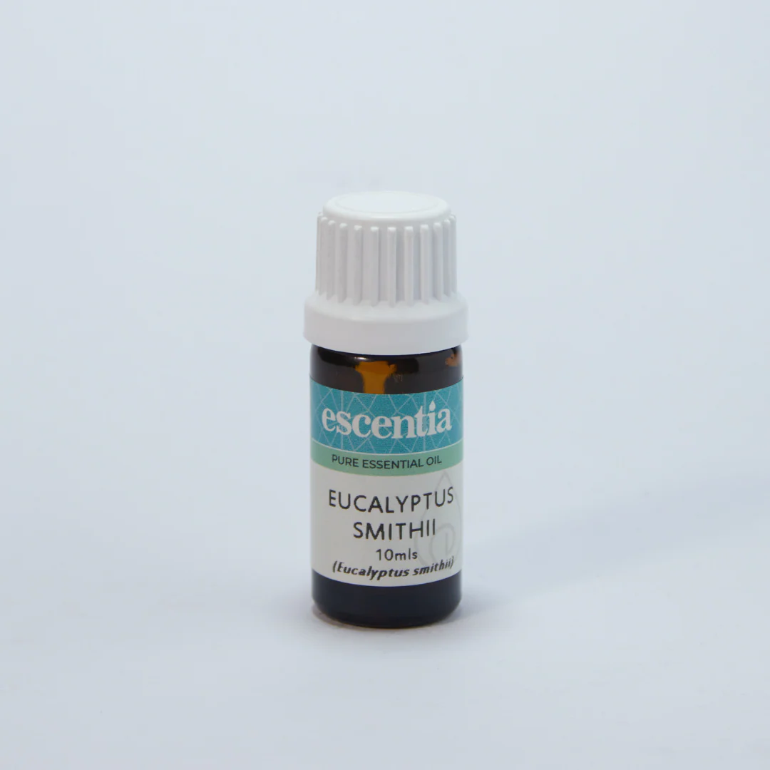 Escentia - Essential Oil Eucalyptus Smithi 10ml - Image 2