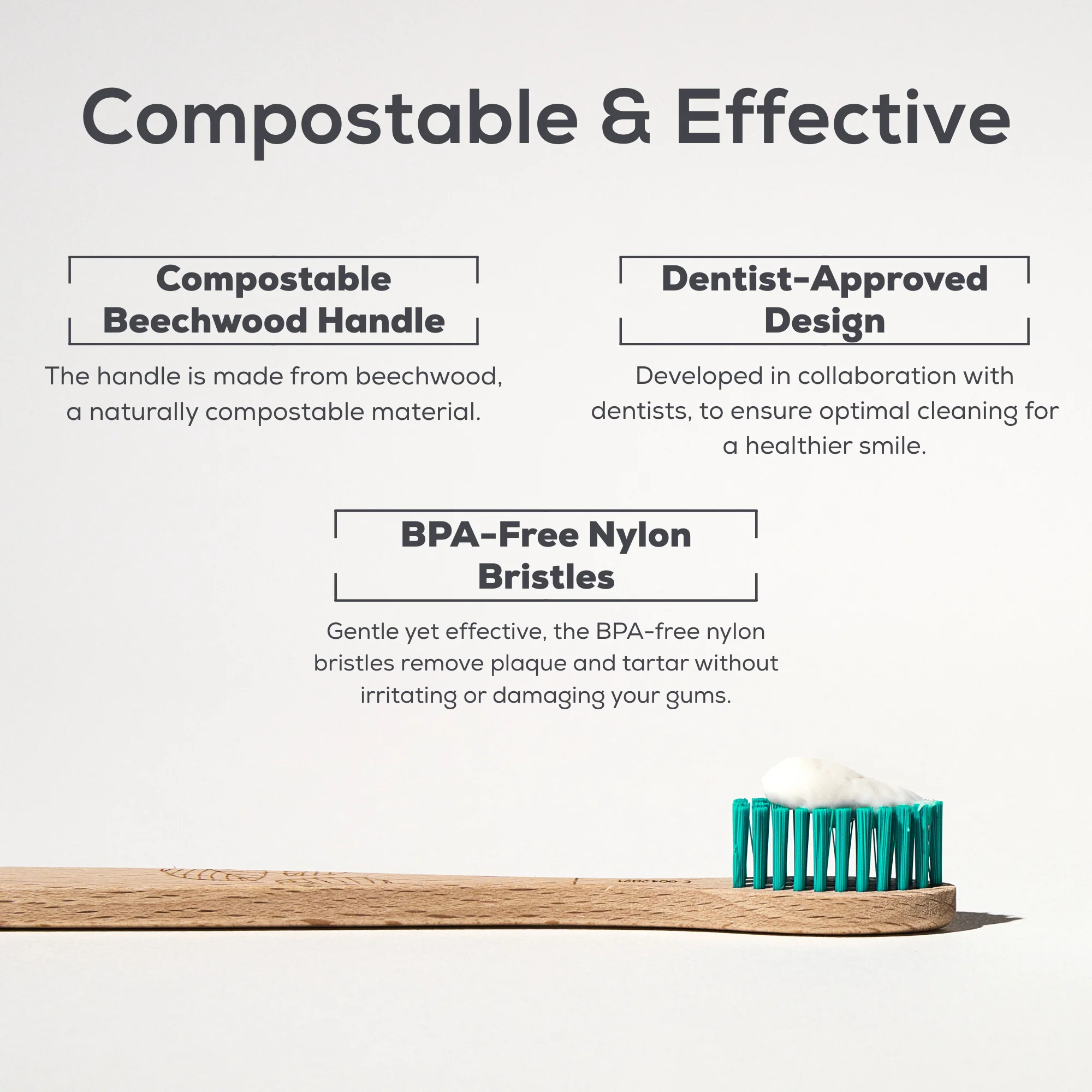 Georganics - Beachwood Toothbrush Medium