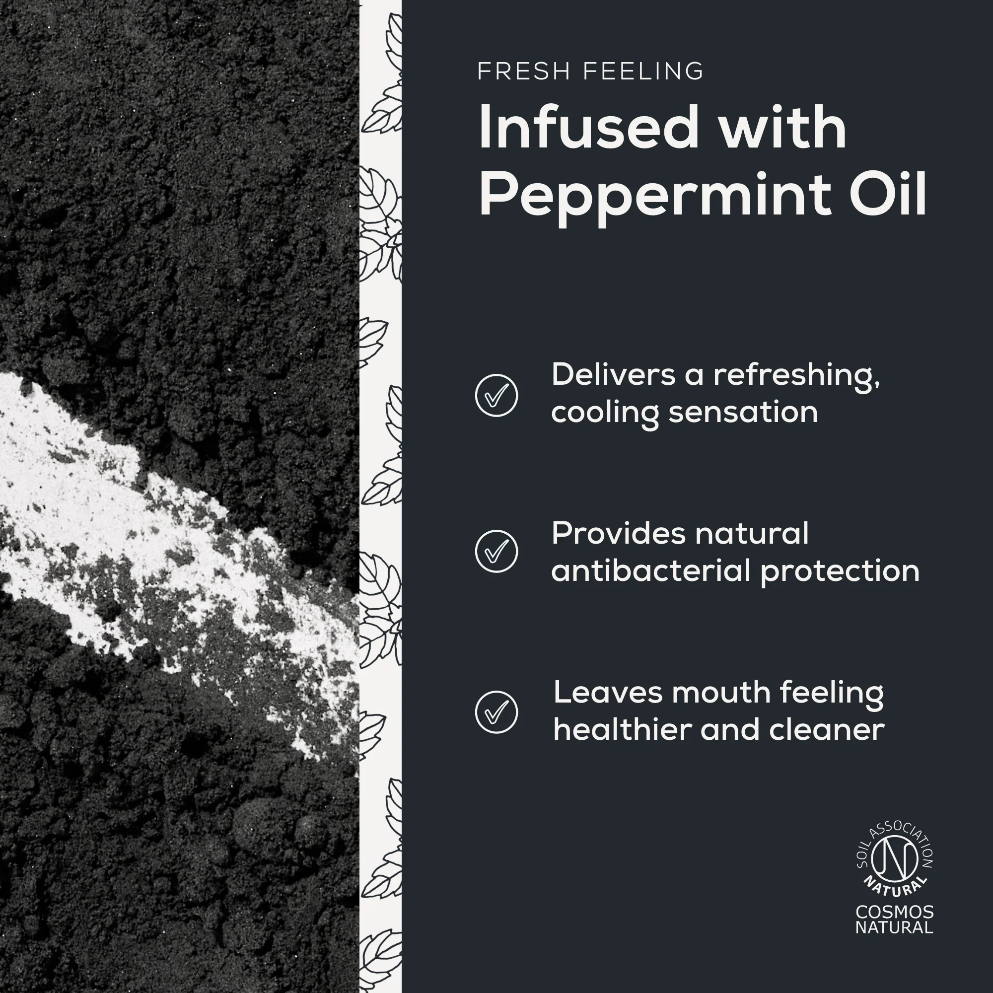 Georganics - Mineral Toothpaste Powder Activated Charcoal 60ml - Image 4