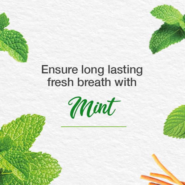 Himalaya - Toothpaste Mint Fresh Herbal 75ml - Image 5