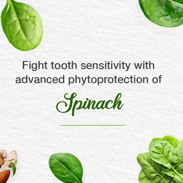 Himalaya - Toothpaste Sensi-Relief Herbal 75ml - Image 3