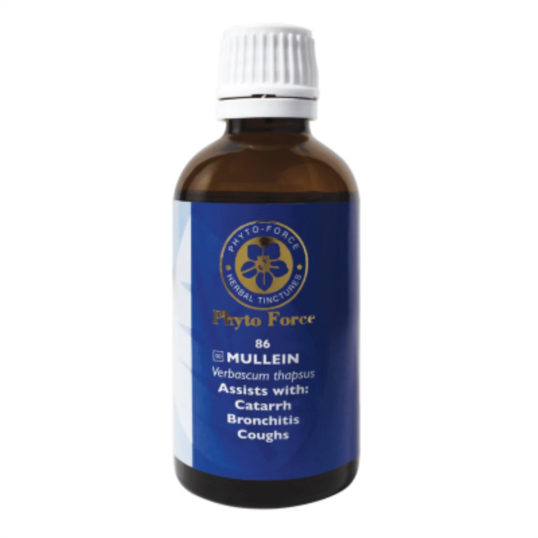 Phyto Force - Mullein 50ml
