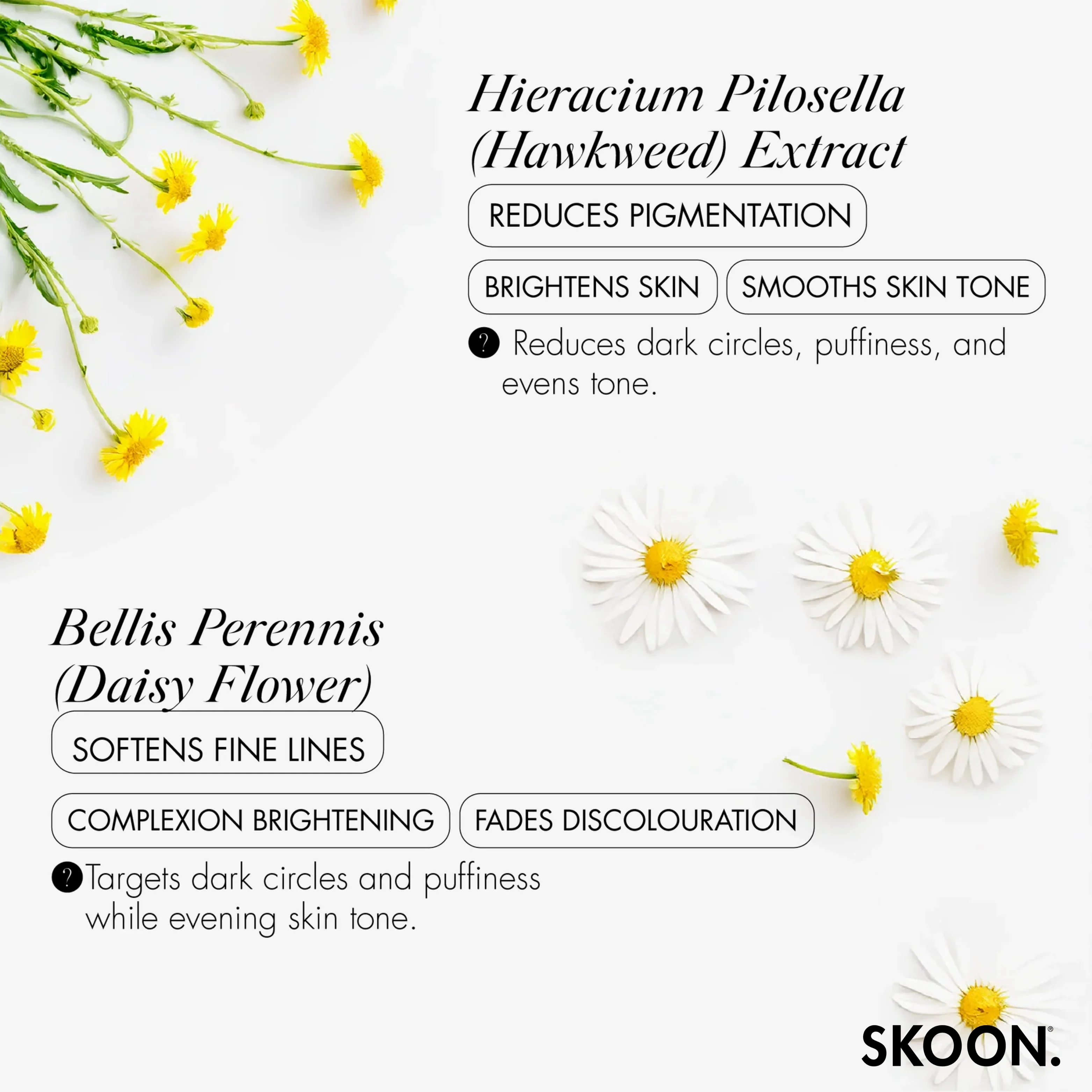 SKOON - Bright-Eyed Brighten + Firm Eye Cream 15ml - Image 6