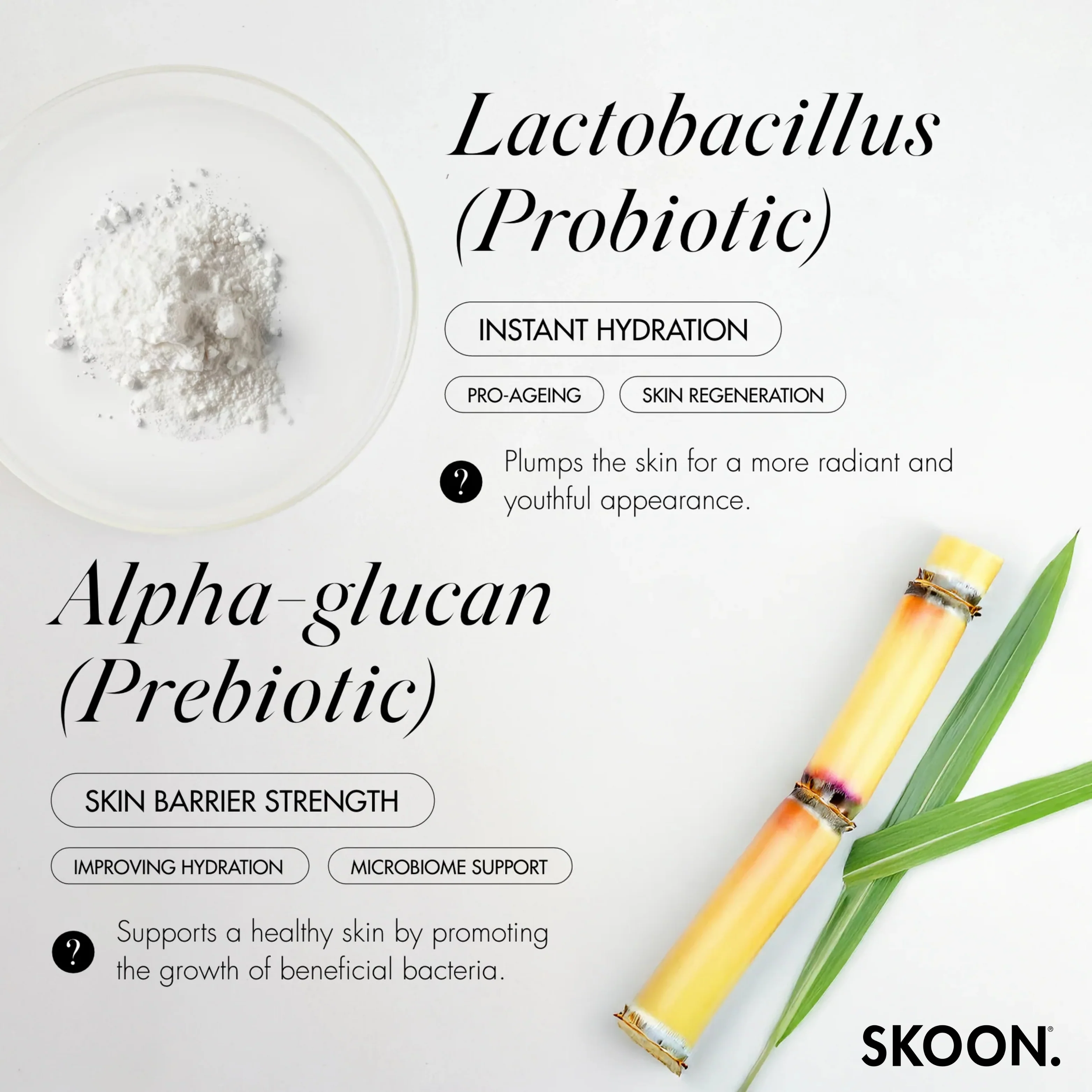SKOON - Oh Sherbet 3-in-1 Clay Mask 20g - Image 4