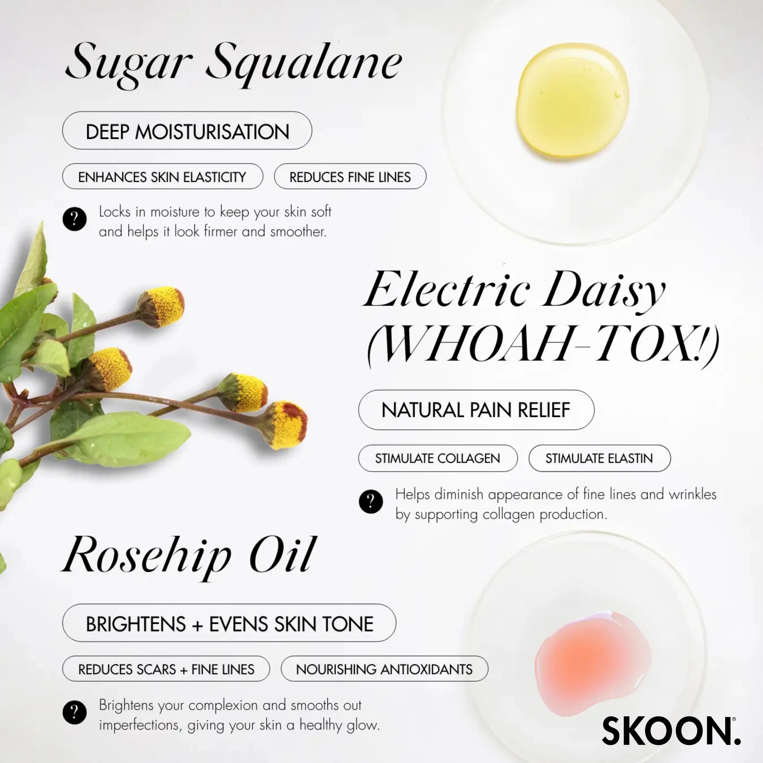 SKOON - Rosegold Deep Tissue Concentrate 15ml - Image 5