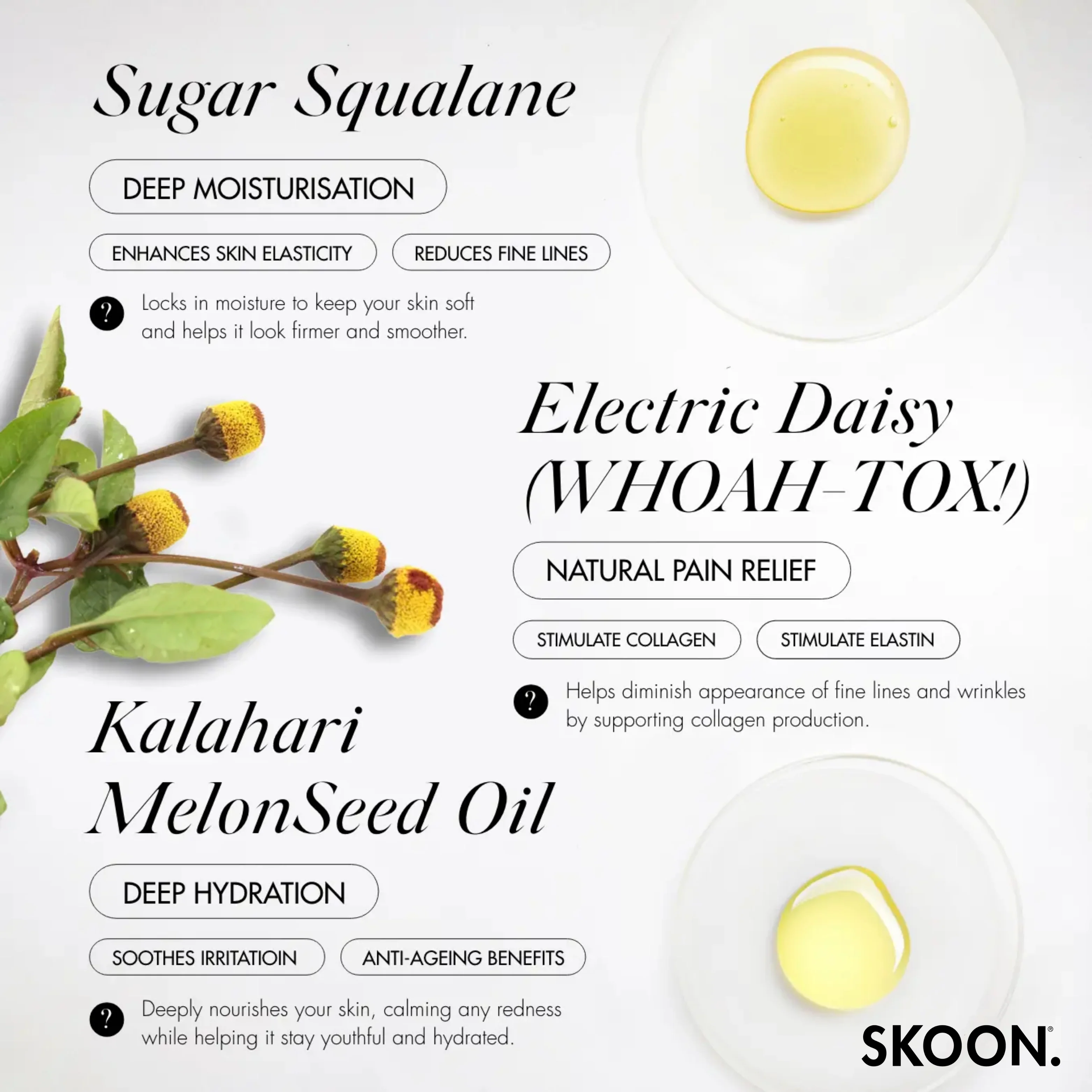 SKOON - Sugarbabe Moisture Concentrate 15ml - Image 5