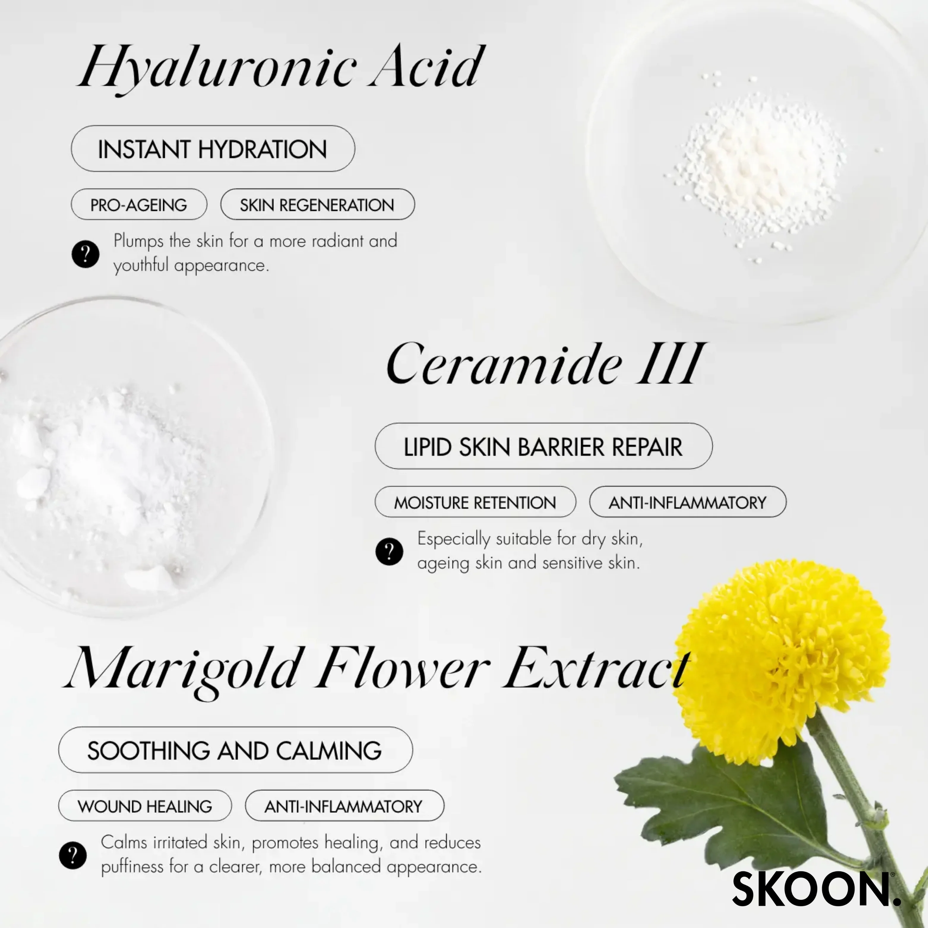 SKOON - The One Face Cream Hydra Plump Refill 50ml - Image 3